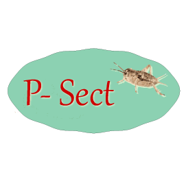 P-Sect