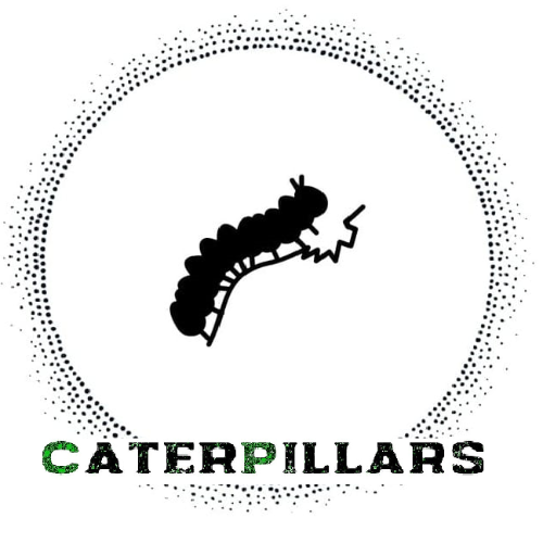 CaterPillars