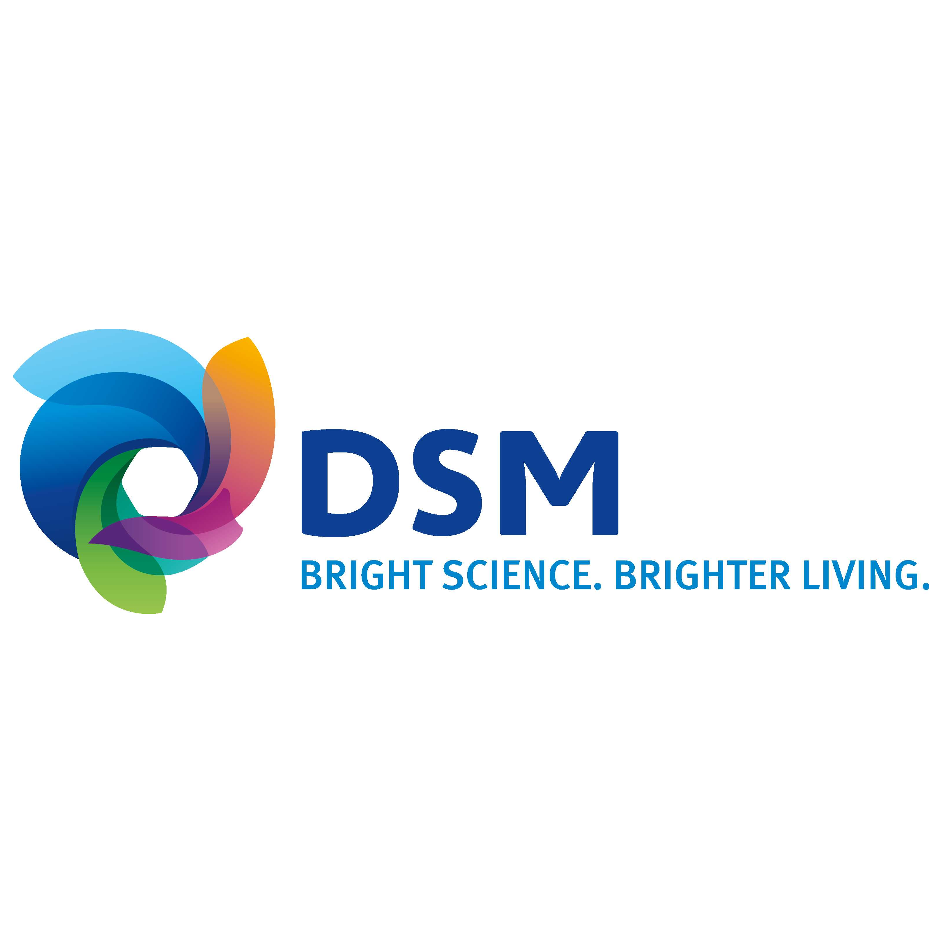 DSM